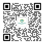 智優國際教育咨詢號